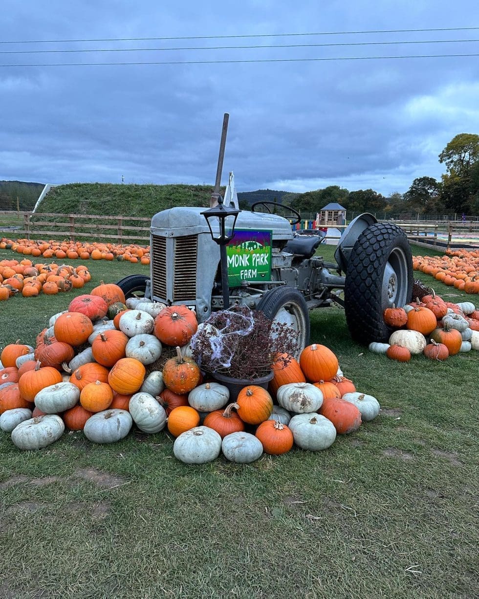 2023 Season Launch And What S On Monk Park Farm