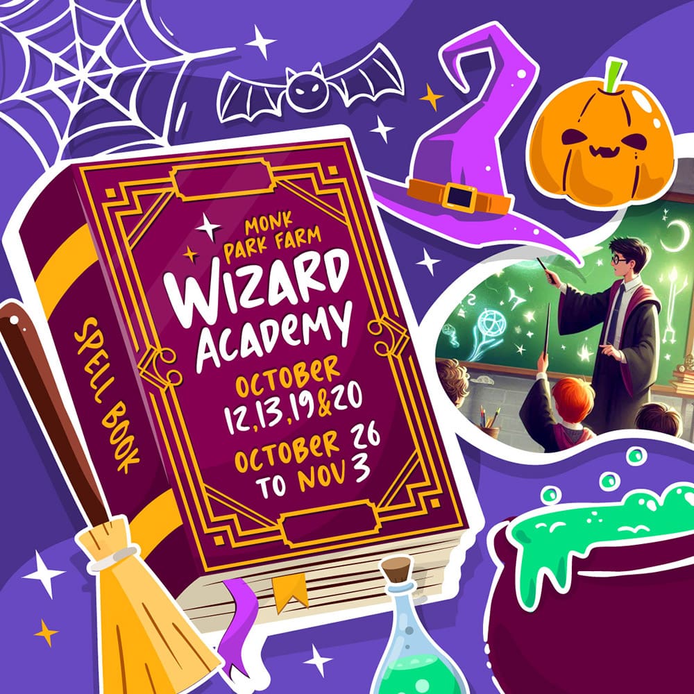 Wizard Academy Halloween Event 2024